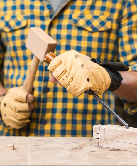 Programs and Services